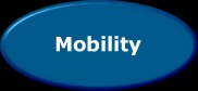 See how issues of Mobility Impacted People.